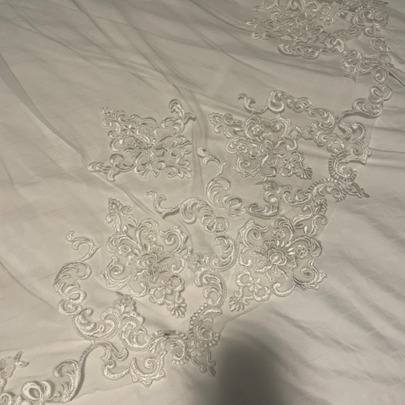 Cathedral veil with lace detail